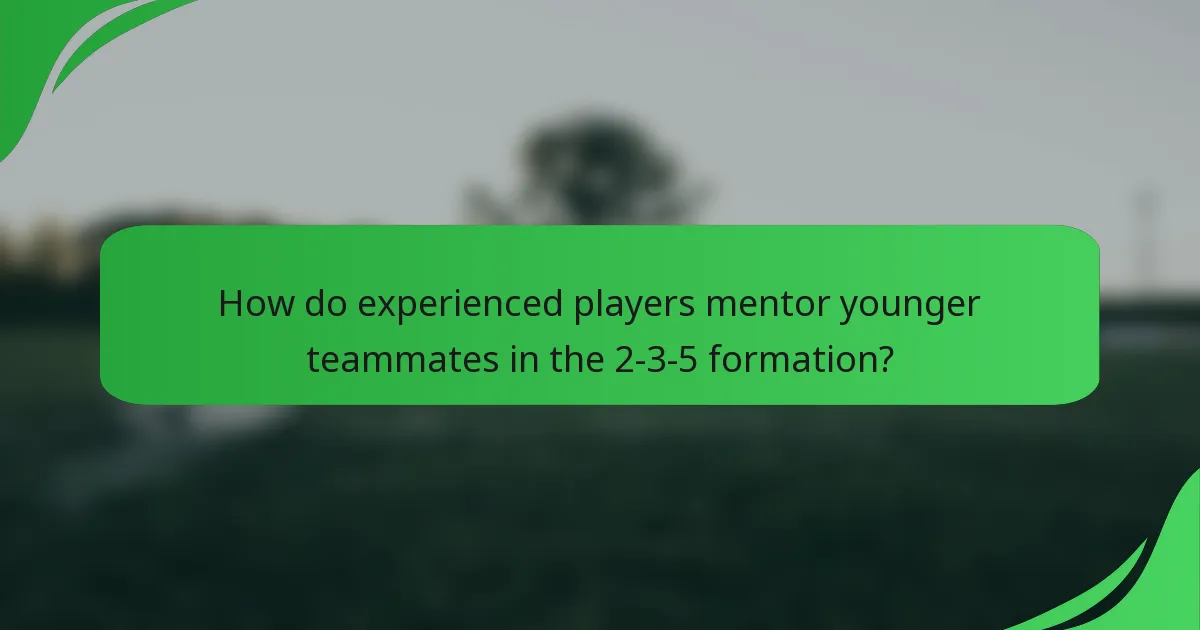 How do experienced players mentor younger teammates in the 2-3-5 formation?
